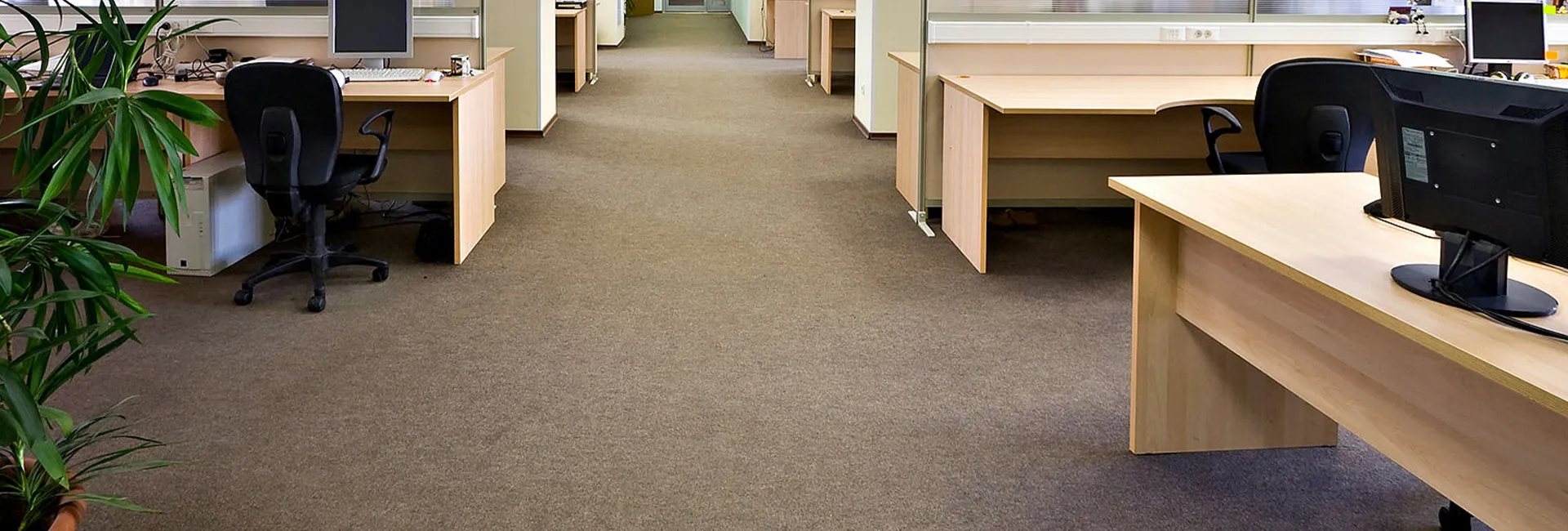 carpet cleaning in brooklyn, carpet cleaning in new york, carpet cleaning brooklyn, carpet cleaners in brooklyn, carpet cleaners in new york, commercial carpet cleaning, commercial carpet cleaning in brooklyn, brooklyn rug cleaners, rug cleaning services in brooklyn, same day carpet cleaning, same day rug cleaning